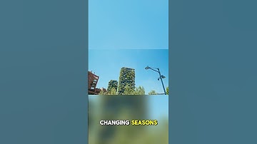 Vertical Farming Explained: Can We End Food Shortages in Cities?