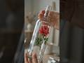 5 Genius Home Hacks You Wish You Knew Earlier! #shorts
