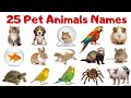 बच्चों के लिए 25 Pet Animals Names | English Hindi Vocabulary Video