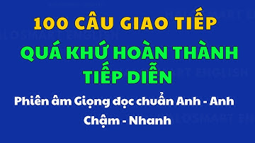 100 Câu giao tiếp Quá Khứ Hoàn Thành Tiếp Diễn |Luyện Nghe 13 Thì Tiếng Anh