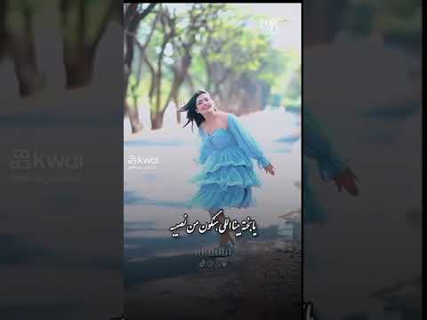 اللي معانا كسبان ملناش ف الخسارة