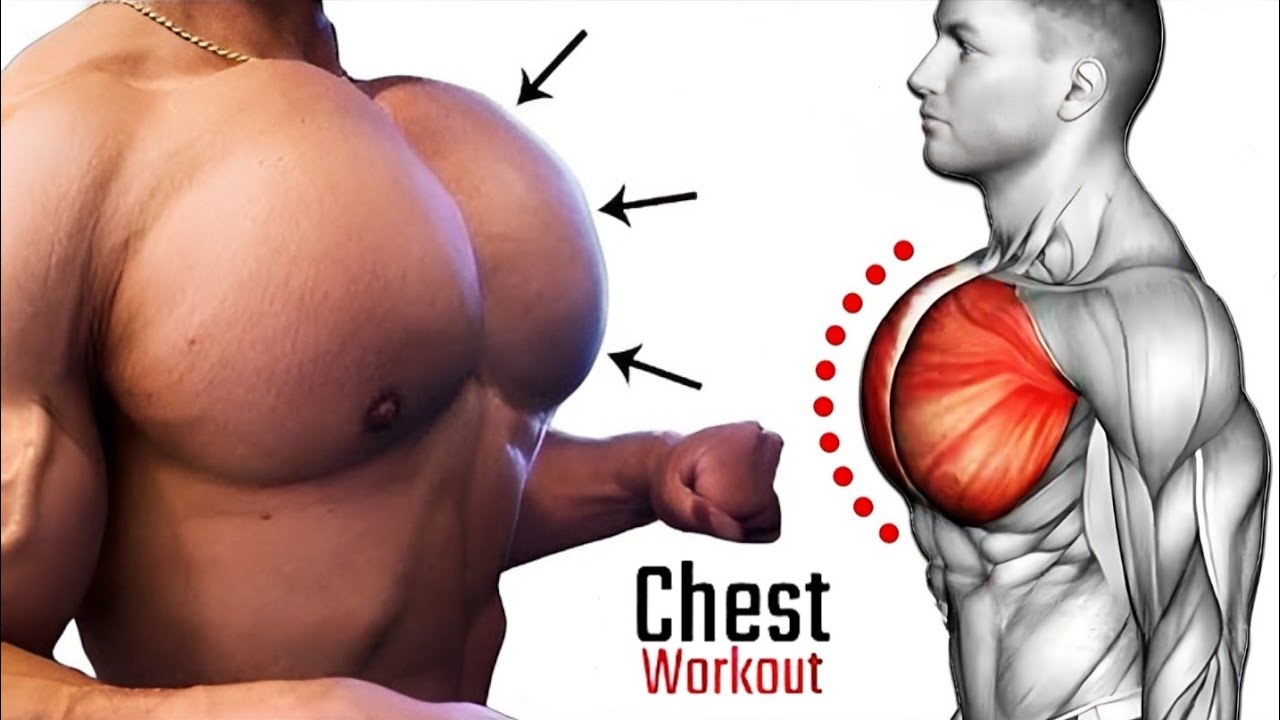 Идеальная тренировка для груди с гантелями дома | Быстро нарастите объем груди