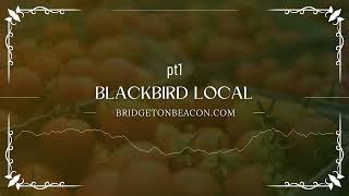 Kate Lairson pt1    Black Bird Local