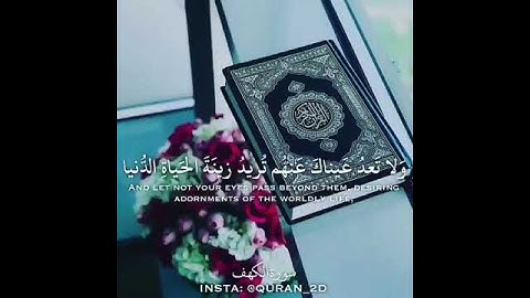 حالات واتساب دينية #سورة الكهف //مقاطع انستا دينية قصيرة