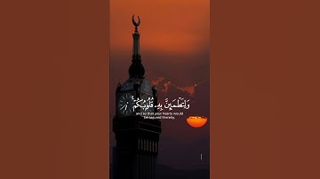سورة الأنفال {الآية 9} بصوت الشيخ محمد اللحيدان ❤️💖
