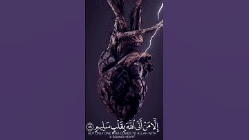 يوم لا ينفع مال ولا بنون/ تلاوة خاشعة #القرآن_الكريم #quran #المعرفة_الشاملة
