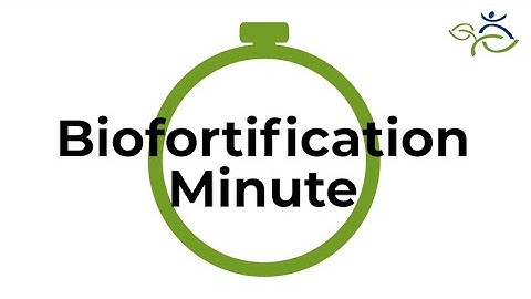 Biofortification Minute: developing standards for biofortified products