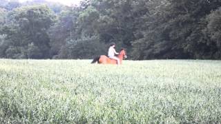 Bareback Raws