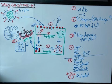 კორონავირუსი #2 - მკურნალობა  3/21/20