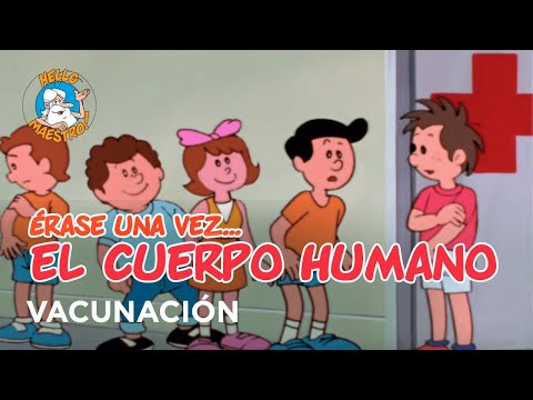 Erase Una Vez La Vida (El Cuerpo Humano) - 04 La médula ósea 