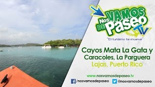 Cayos Mata La Gata & Caracoles, La Parguera, Lajas, P.R.