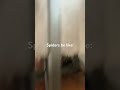 Spiders be like: