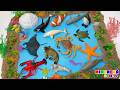 🔍 ¿Quién VIVE aquí? 🌊 🐜 ¡Exploramos 3 MUNDOS MAGICOS! 🐊 Mimonona Stories