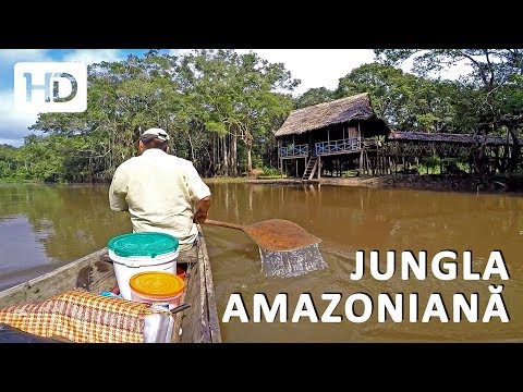 Excursie in JUNGLA AMAZONIANA, in Rezervatia Nationala Pacaya Samiria din Peru