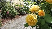 Internat Schloss Wittgenstein Youtube