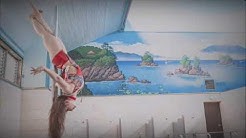Alish Pole Dance アリッシュ ポール ダンス Youtube