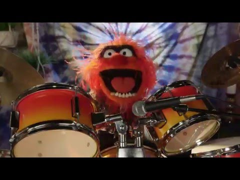 Dr. Teeth and The Electric Mayhem are Going to Outside Lands 2016 | The Muppets