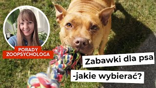 Jak wybrać zabawki dla psa? Które zabawki warto kupić?   Wyprawka dla psa / szczeniaka