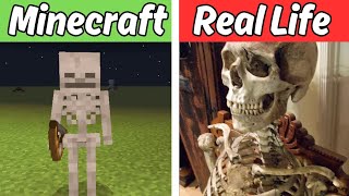 Minecraft in Real Life | Minecraft vs Real Life (animals, items, mobs)