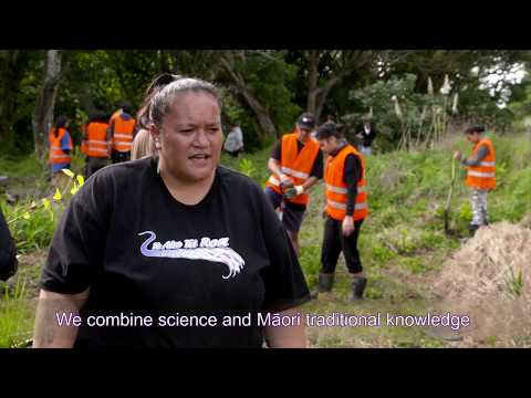 Te Noho Taiao o Te Hiku | Whakawhanaungatanga | English Subtitles