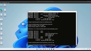 Windows11 ERROR kuhl_m_sekurlsa_acquireLSA ; Logon list