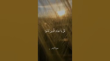 قُلْ يَا عِبَادِ الَّذِينَ آمَنُوا اتَّقُوا رَبَّكُمْ || سورة الزمر || علي جابر