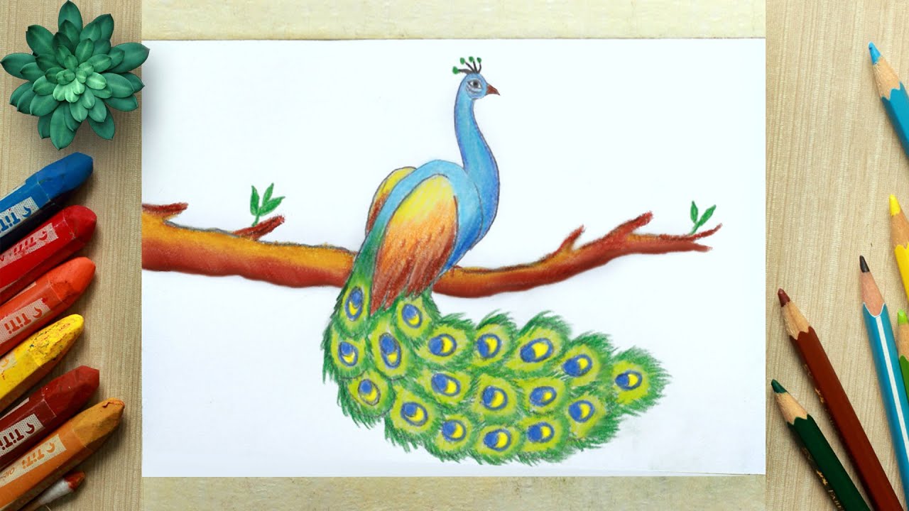 peacock scenery drawing easy||how to draw peacock - YouTube