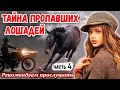 НОВЫЙ и ОЧЕНЬ Интересный Рассказ ТАЙНА ПРОПАВШИХ ЛОШАДЕЙ Христианские Рассказы МСЦ ЕХБ / ЧАСТЬ 4