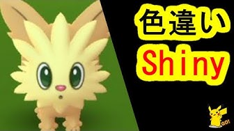 ヨーテリー Youtube ヨーテリー Youtube