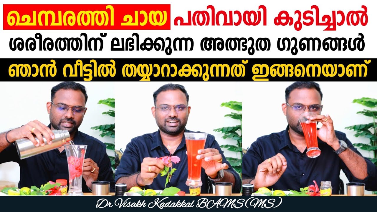 ചെമ്പരത്തി ചായ 🌺 പതിവായി കുടിച്ചാൽ ലഭിക്കുന്ന അത്ഭുത ഗുണങ്ങൾ | ഞാൻ വീട്ടിൽ തയ്യാറാക്കുന്ന രീതി ☕🫖