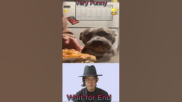 Funny Fail - Part 13 #shorts #trending #viral #fyp