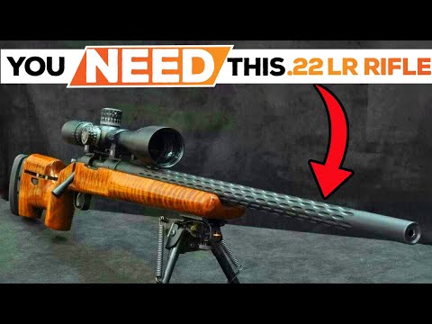 Best .22 LR Rifles 2024! Who Is The NEW #1?