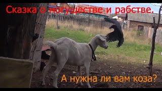 А нужна ли вам коза? О могуществе и рабстве.