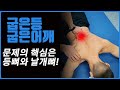 굽은등/ 굽은어깨/ 체형교정/ 자세교정/ 척추교정/ 어깨안정화 제가 실제로 적용하는 운동입니다.