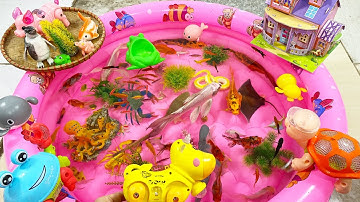 Cá Voi,Cá Chép,Cá Mập,Cá Đuối,Chim Cánh Cụt,Con Lợn,Con Rùa,Con Bạch Tuộc,Bọ Cạp,Con Rắn,Cua,Con Bò