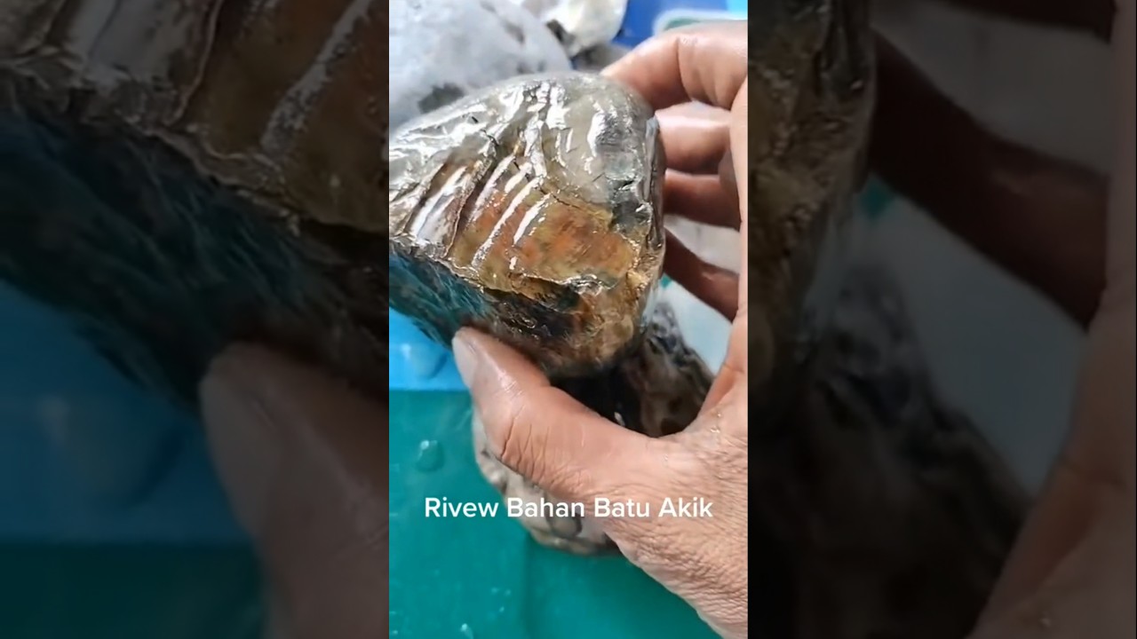 Buried in the ground for hundreds of years and turned into stone. 