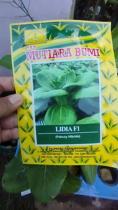 benih dari mutiara bumi