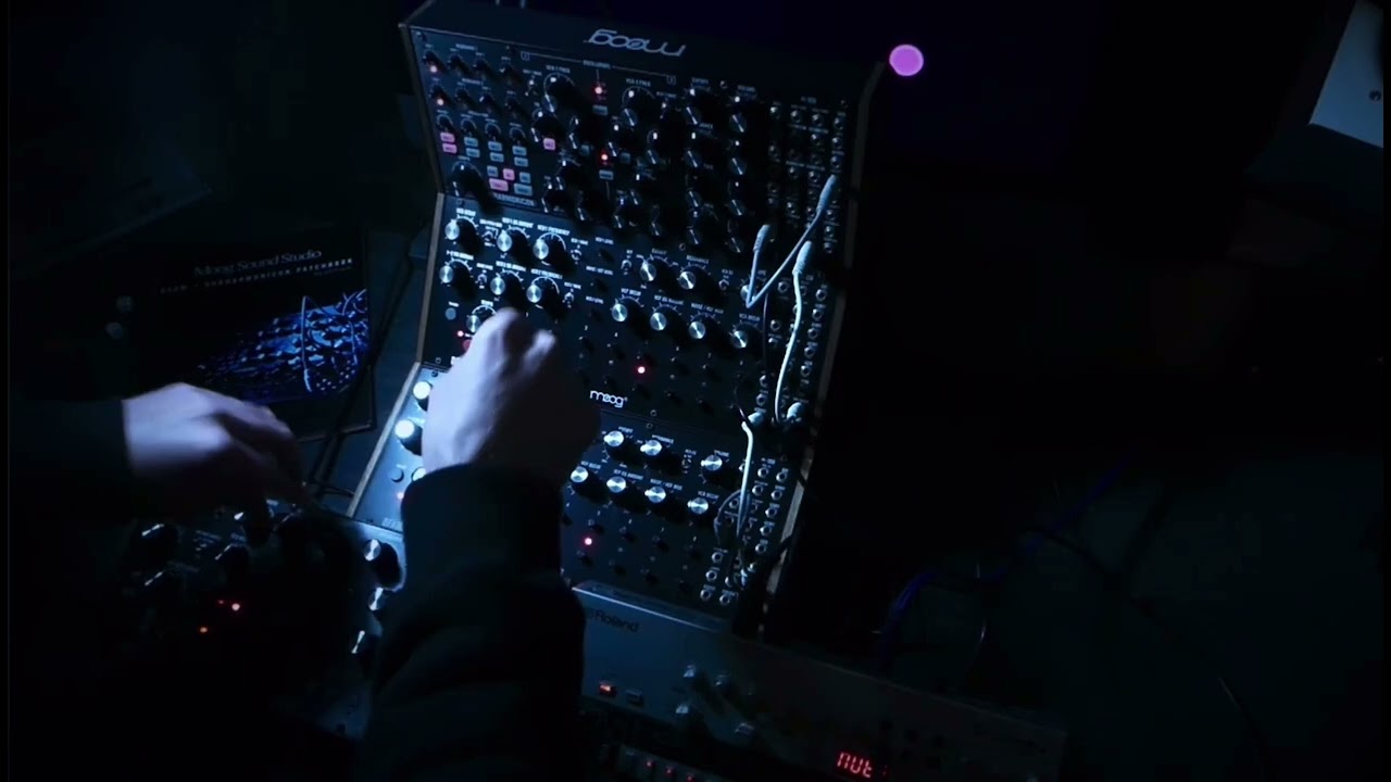 Moog sound Studio techno trance + tr06 