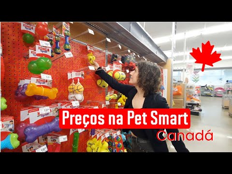 QUANTO CUSTA A VIDA PET NO CANADÁ? | Loja Pet Smart em Toronto