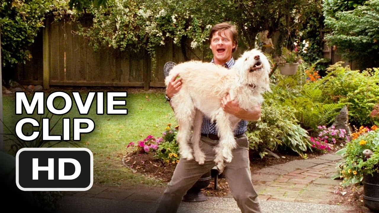 Diary Of A Wimpy Kid Dog Days Movie