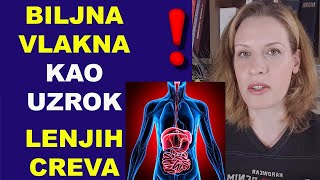 BILJNA VLAKNA kao uzrok LENJIH CREVA I zatvora/ pregled naučnog istraživanja/dr Bojana Mandić