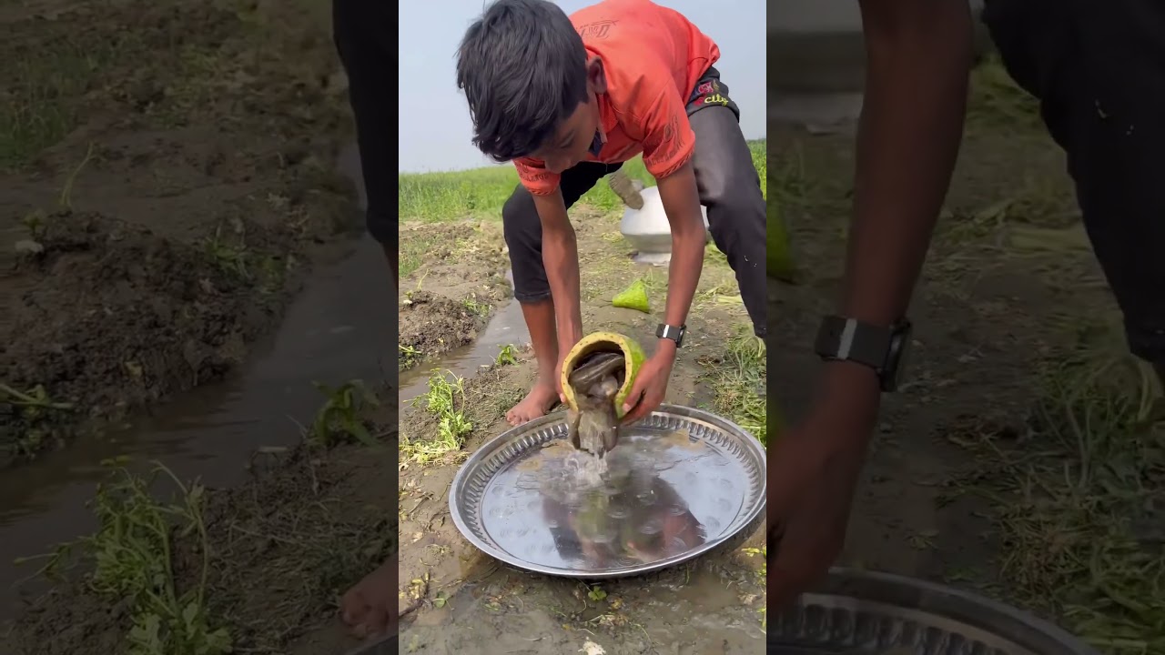 AI Generated Fishing Idea 💡 