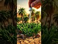 ASMR# viral video#viralshorts