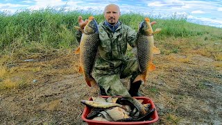 видео: Ванна рыбы на кастинговую сеть за 20 минут Сазаны на кастинговую сеть американку Рыбалка на 2020 картинка: Ванна рыбы на кастинговую сеть за 20 минут Сазаны на кастинговую сеть американку Рыбалка на 2020