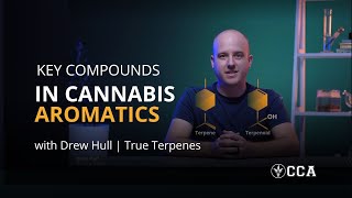 Key Compounds in Cannabis Aromatics