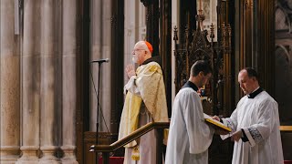 We Forget What Is Truly Important | Cardinal Seán OMalley | NYC Eucharistic Procession