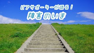 【17分で分かる】ピアサポーターが語る!!　障害のいま