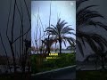 حبيبة روزاليندا   شاشة سوداء تصميم فيديوهات شورتات يوتيوب