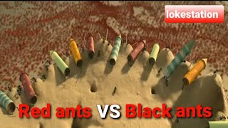 Red ants vs black ants fight part-2 ||🐜🐜🐜🤣🤣 red ants vs black in battle || lokestation ||🐜🐜🐜🤣🤣🤣