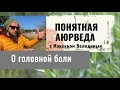 Головная спазматическая боль: желчь, питание и дао